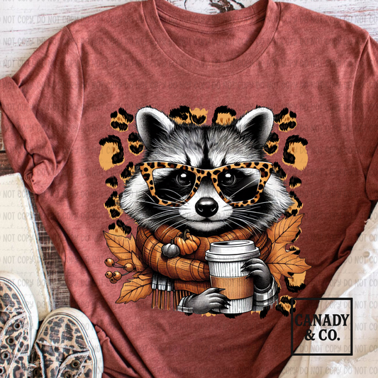 Wild Fall Racoon