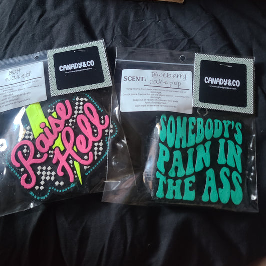 Freshie Set - Raise Hell/ Somebody's Pain In The Ass